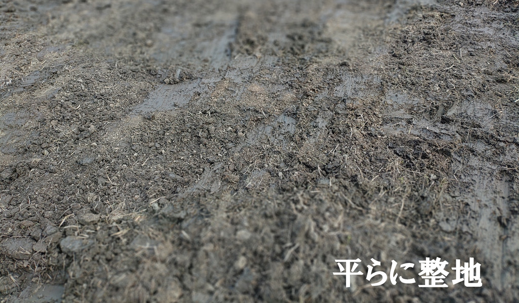 ひどい泥濘の枕地を中心に田んぼの改善 天地返し作業