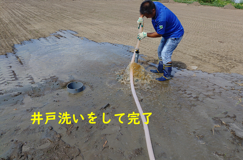 井戸水で冷暖房のビニールハウス  大阪府のいちご狩り園さま