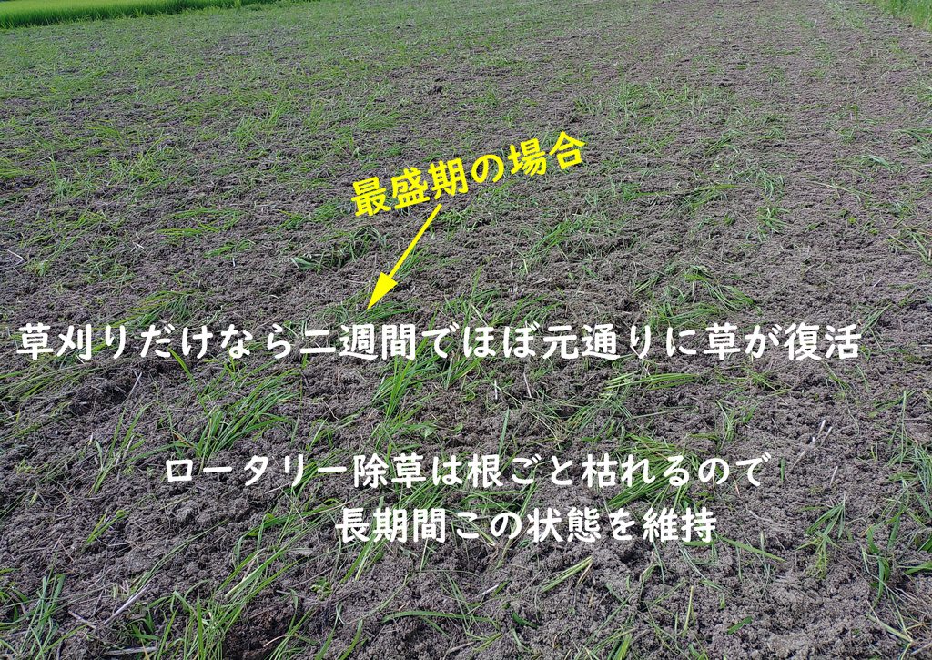 耕作放棄地の除草 | 奈良県天理市にて